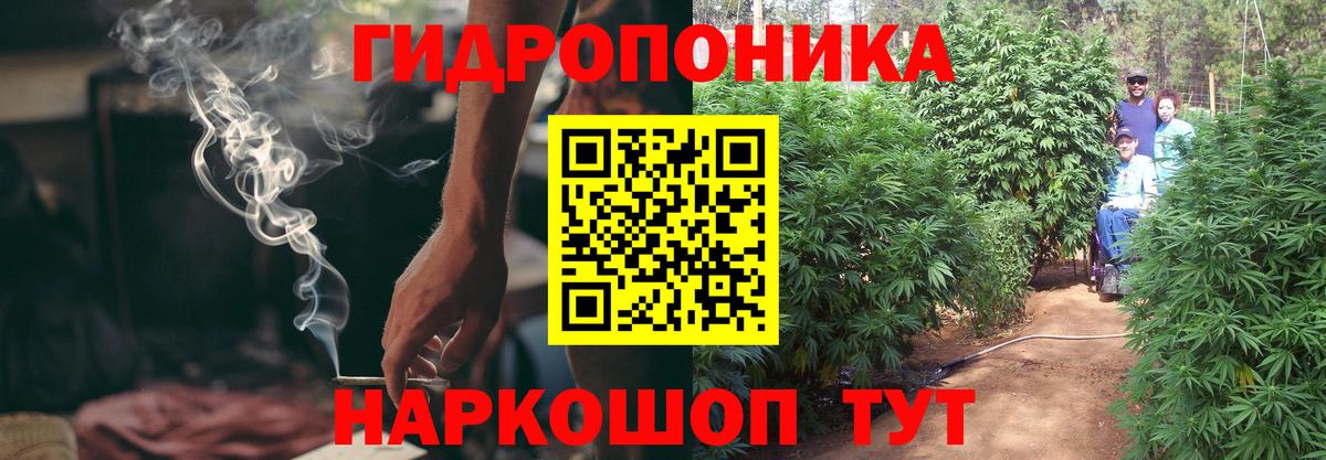 Шадринск  Бошки марихуана Bruce Banner  Конопля White Widow  Вход с VPN 